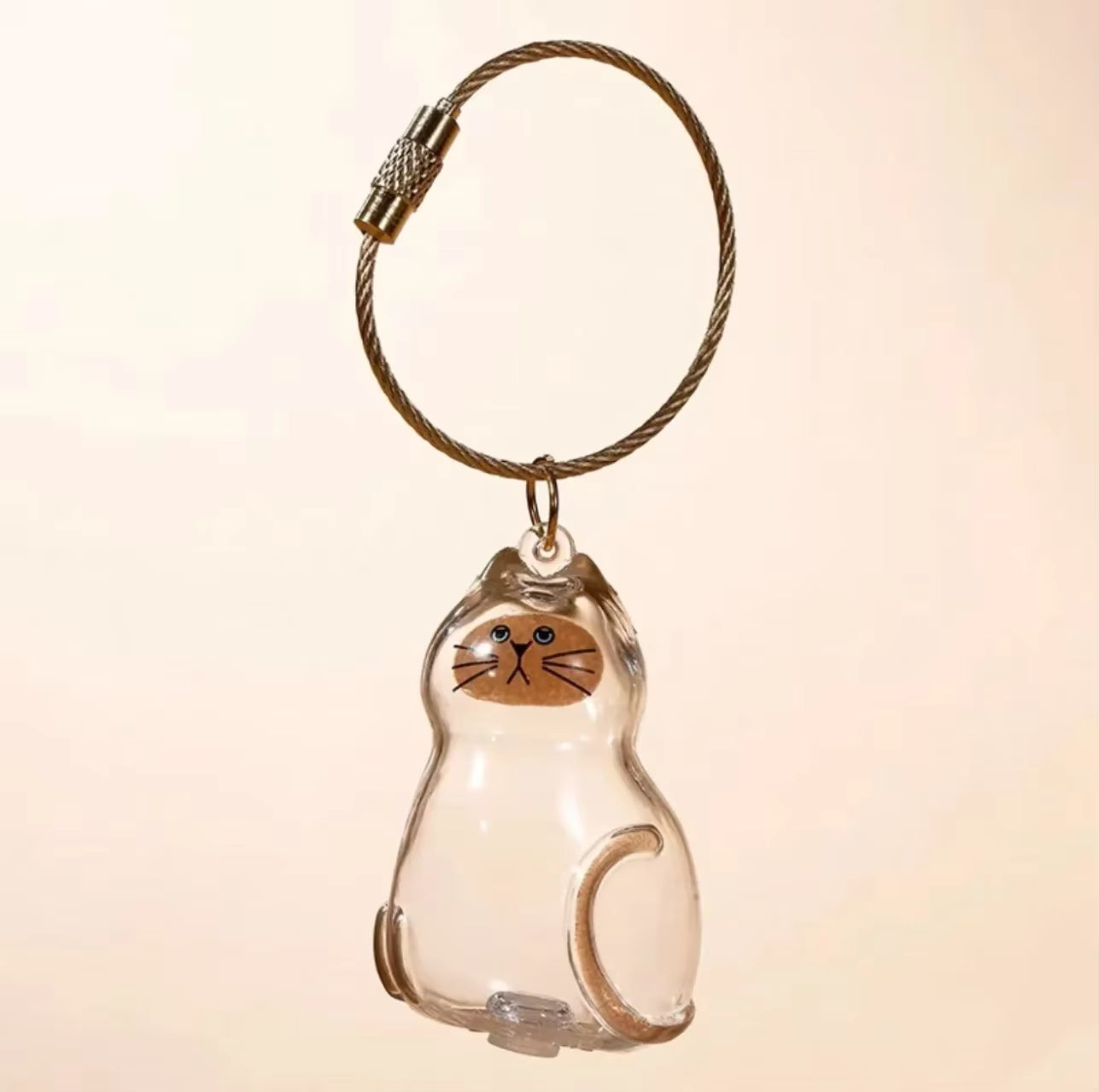 Charming Transparent Cat Hair Storage Keychain Pendant - Perfect Memorial Souvenir for Cat Lovers