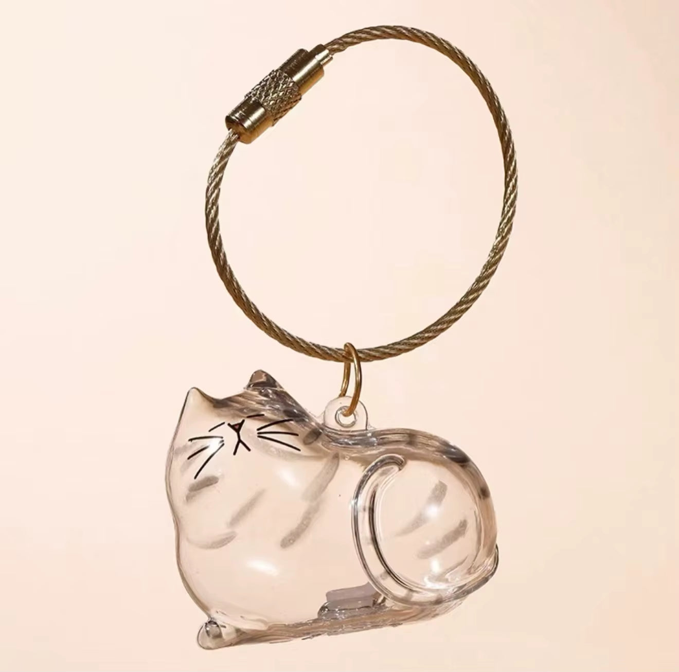 Charming Transparent Cat Hair Storage Keychain Pendant - Perfect Memorial Souvenir for Cat Lovers